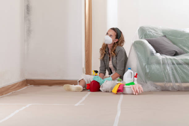 Reliable Crawl Space Mold Removal contractor in Newport, MN by WQB Mold Removal